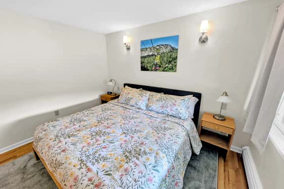 Cozy Stowe condo - close to skiing! - Image 1