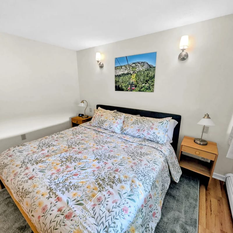 Cozy Stowe condo - close to skiing!